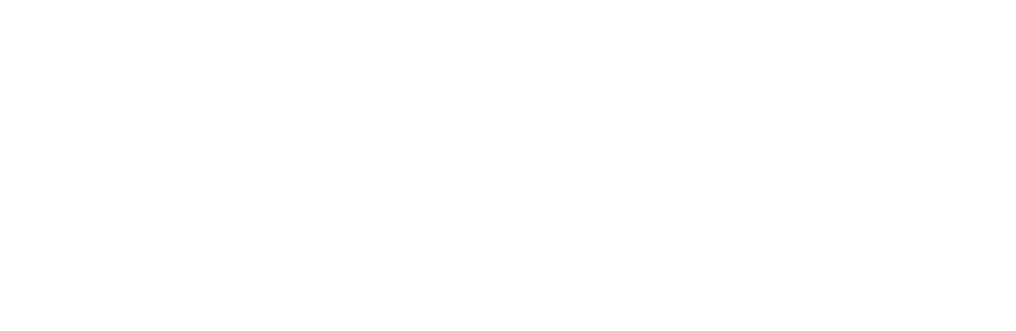 Biso Innovation - Logo